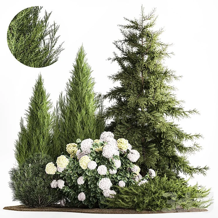 Landscaping and garden decoration of spruce, pine, topiary, white hydrangea bush, flowers, juniper, alpine hill, plant collection 1181
